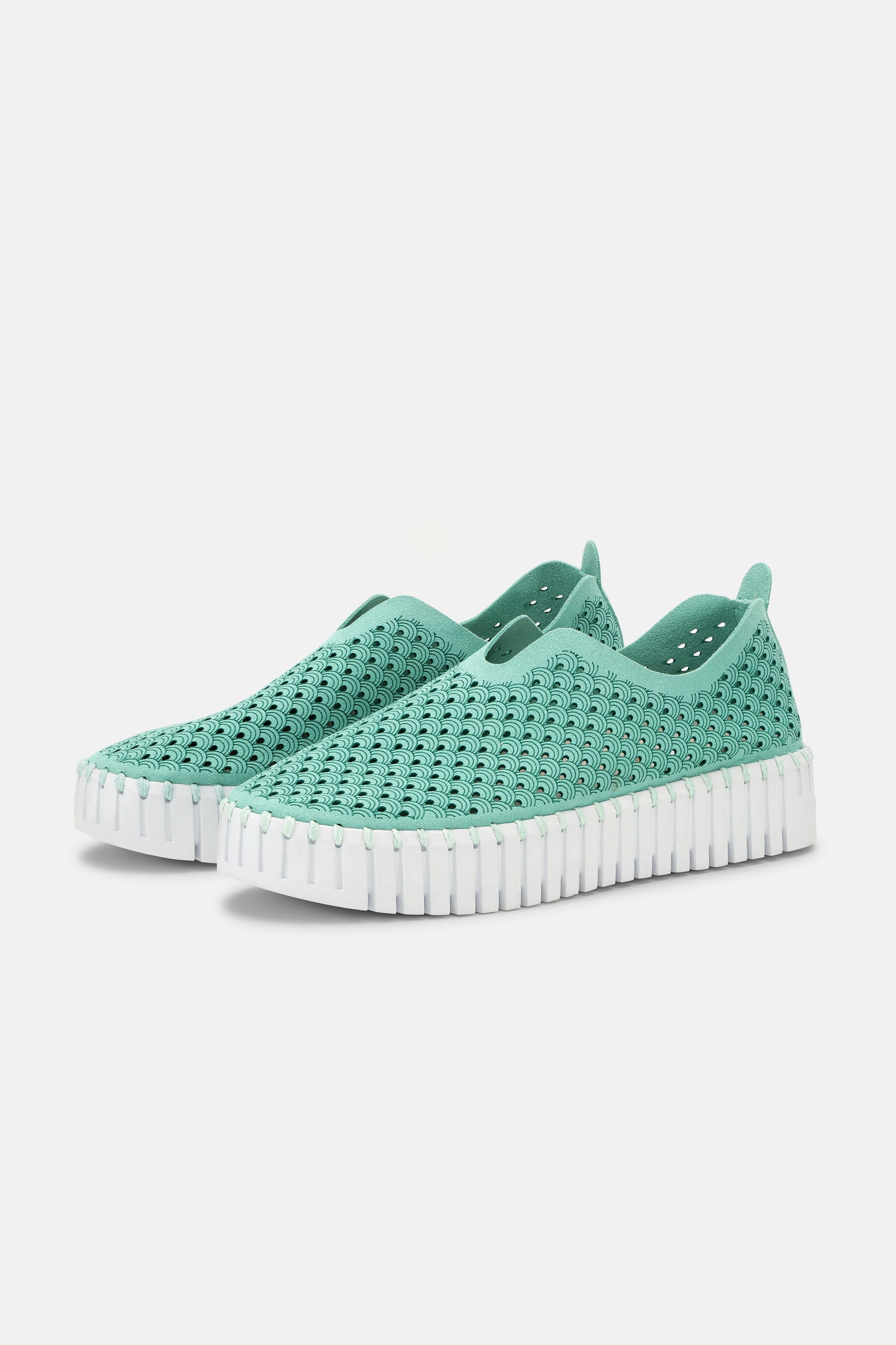 Tulip Chaussures Plateforme - Algae